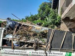 Best Hoarding Cleanup in Jacksonville, AL